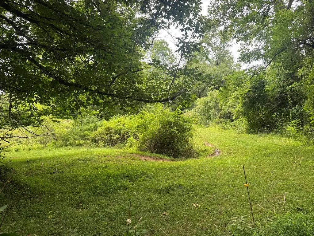 Picture 25