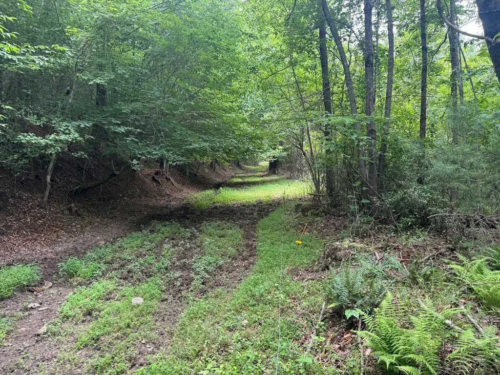 Picture 18