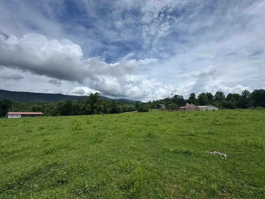 Picture 38