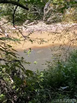 Wooded Acreage with River Frontage