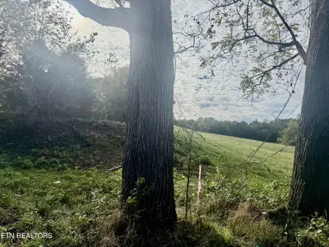 Land Near Norris Lake