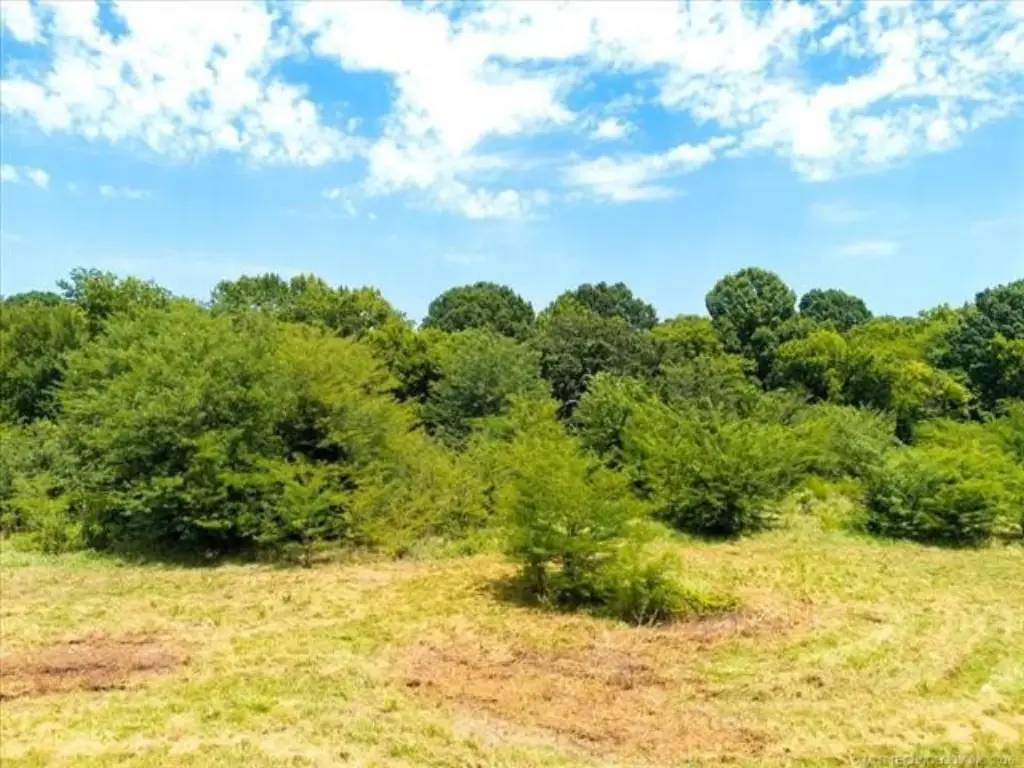 Picture 25