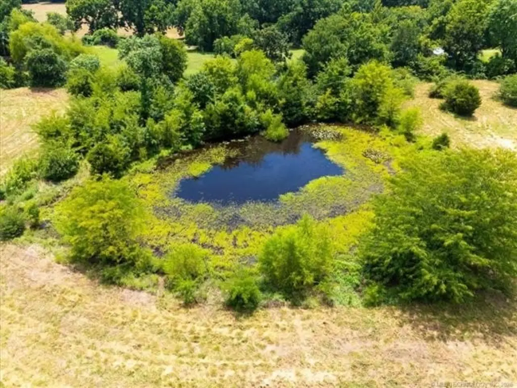 Picture 23