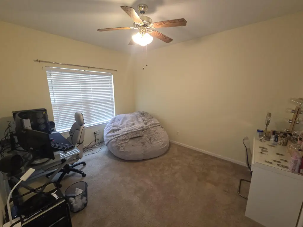 Picture 15
