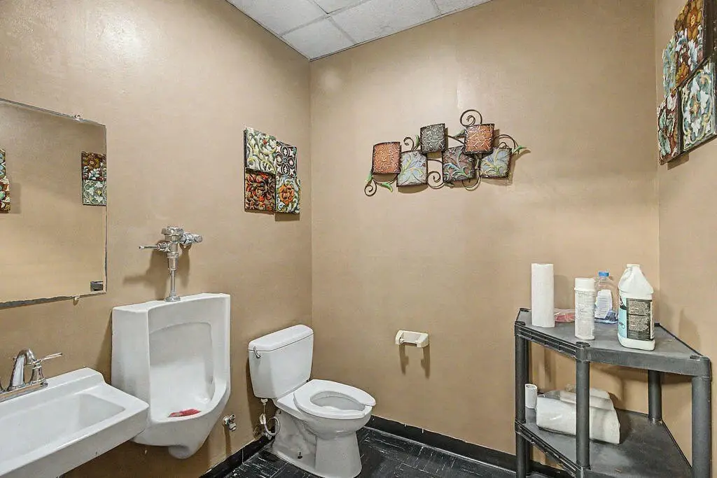 Picture 15