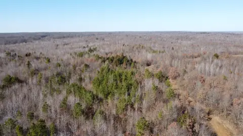 Wooded Hunting Land