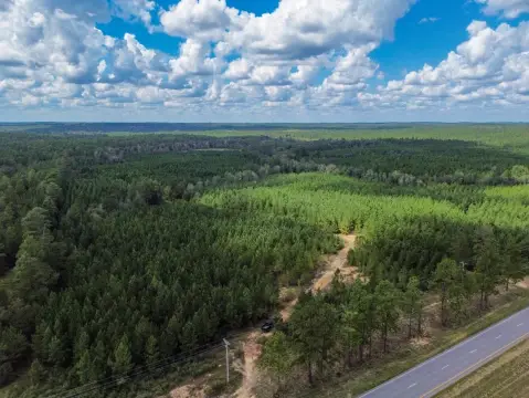 Pine Timber Recreational Land
