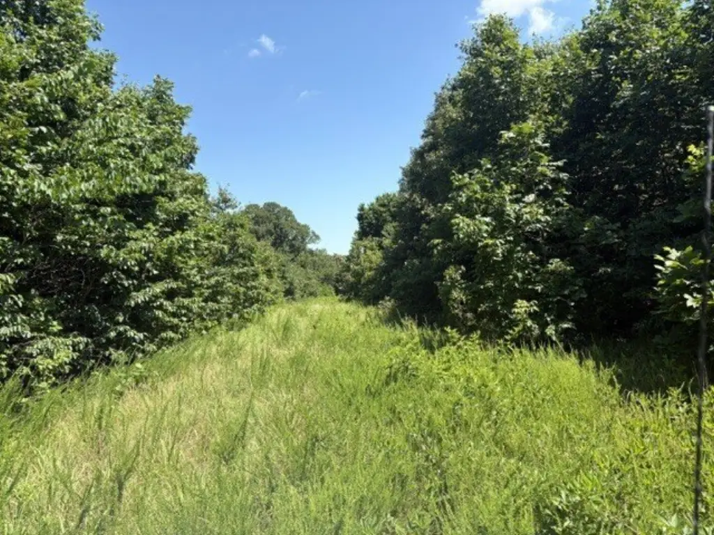 Picture 23
