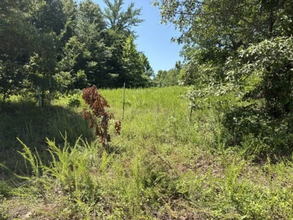 Picture 22