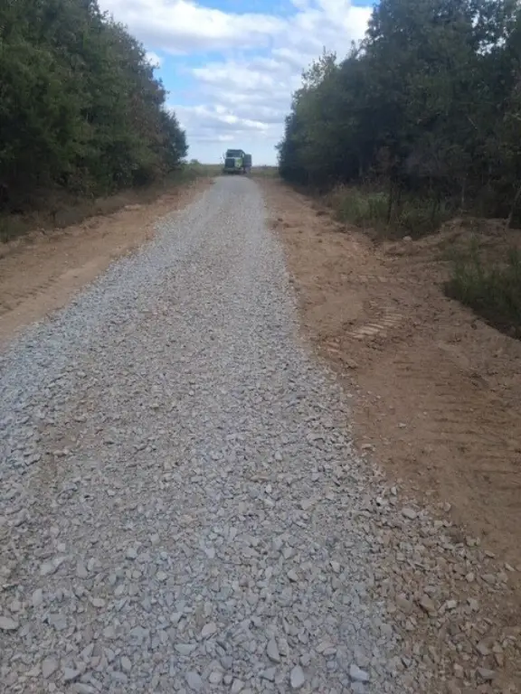 Picture 8