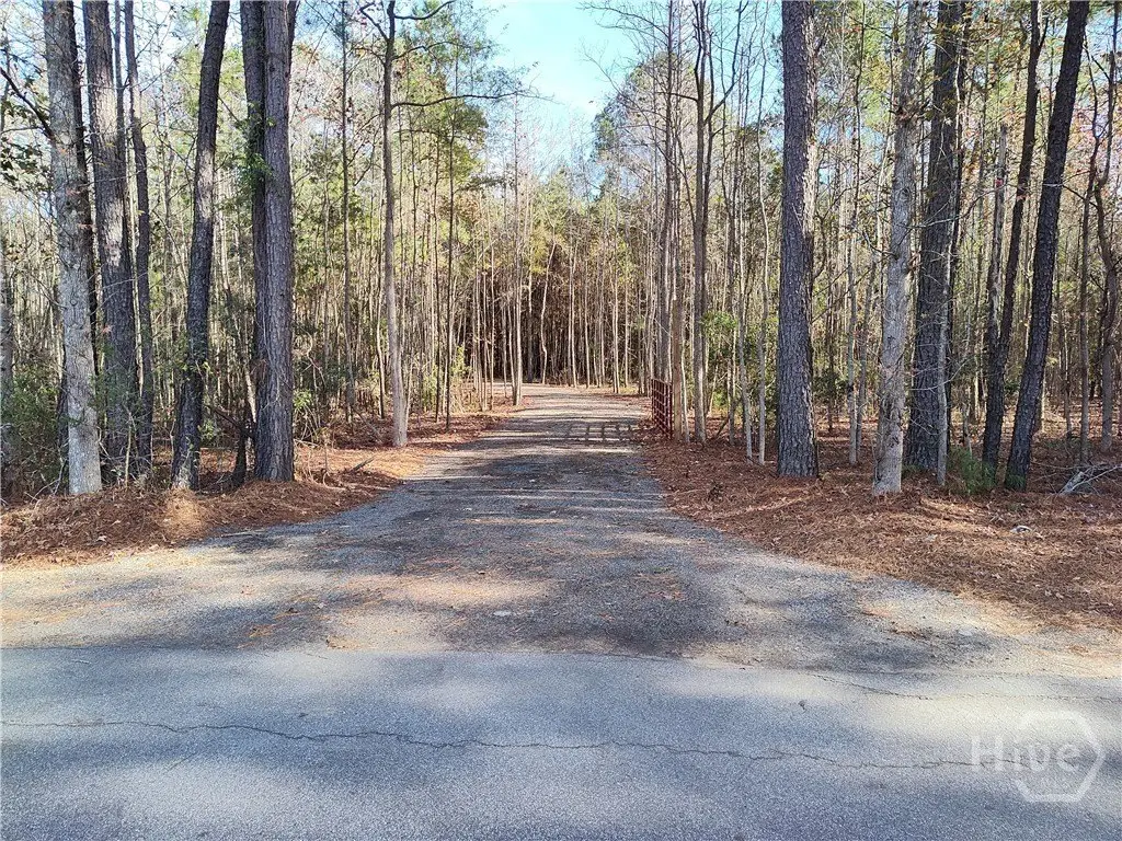 Picture 4