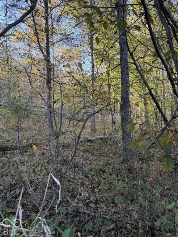 Picture 6
