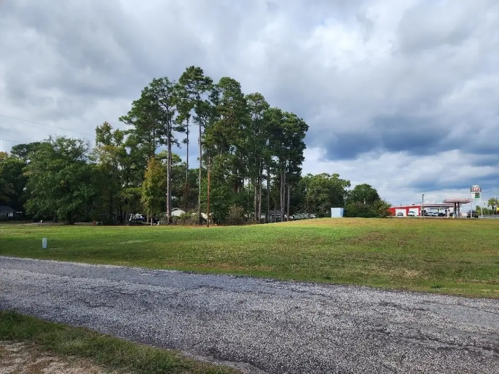 Picture 8