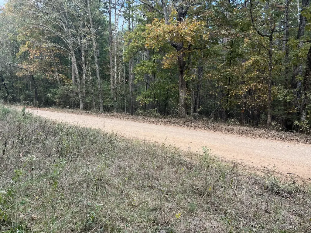Picture 2
