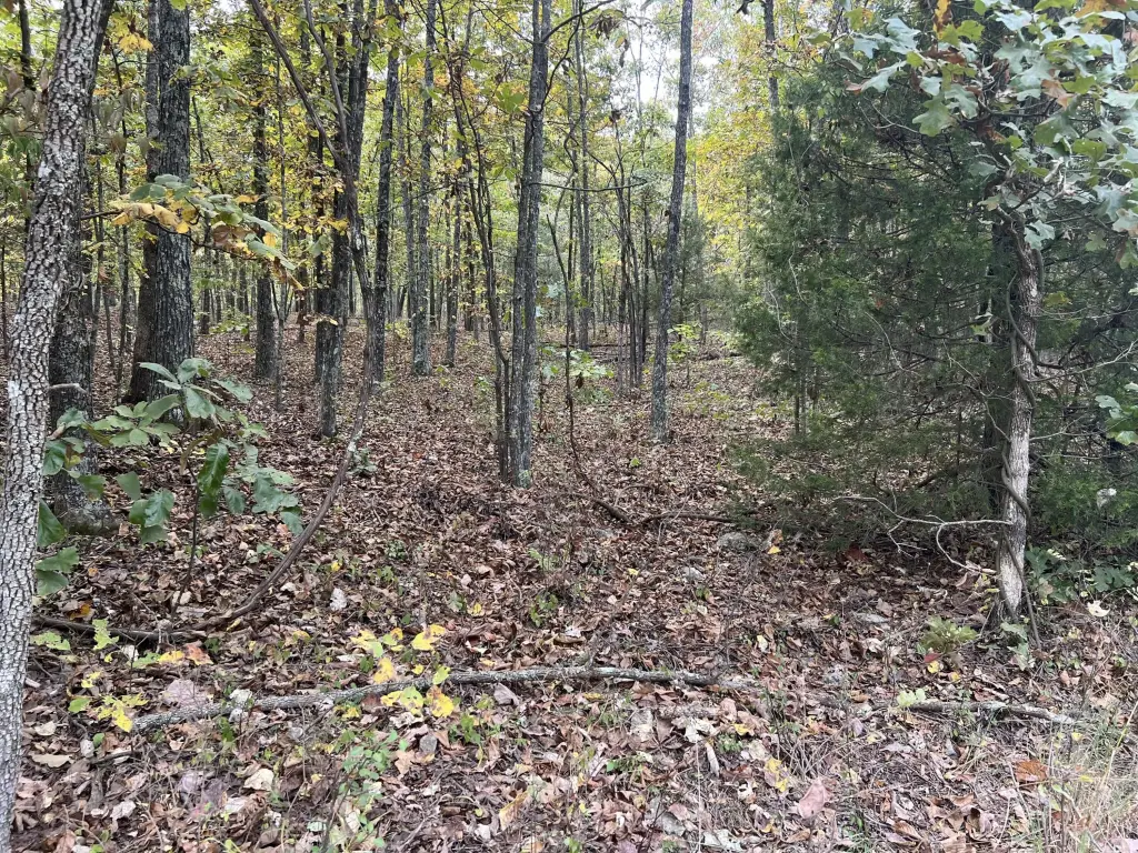 Picture 4