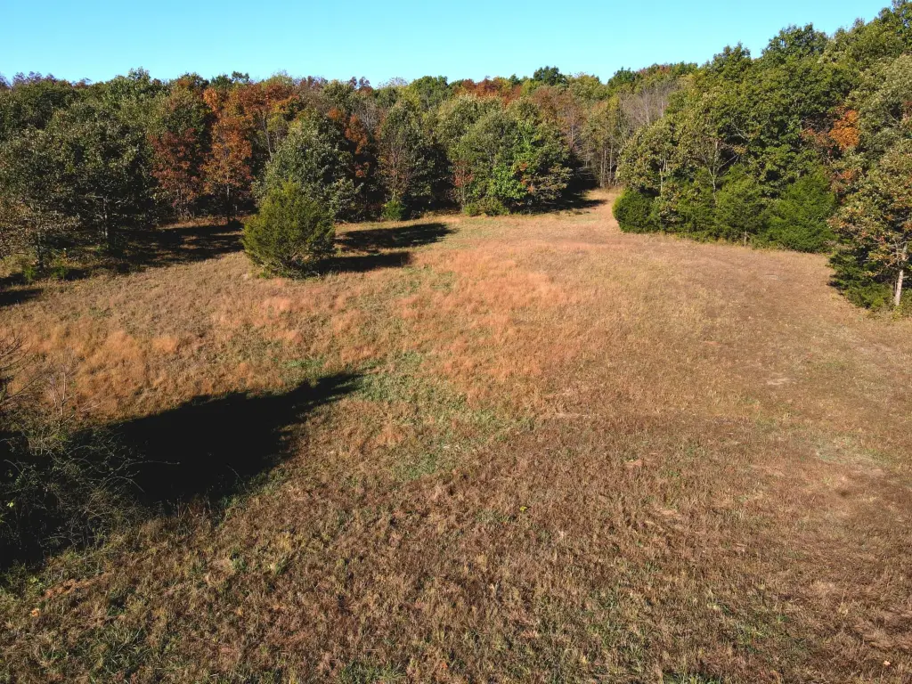 Picture 20