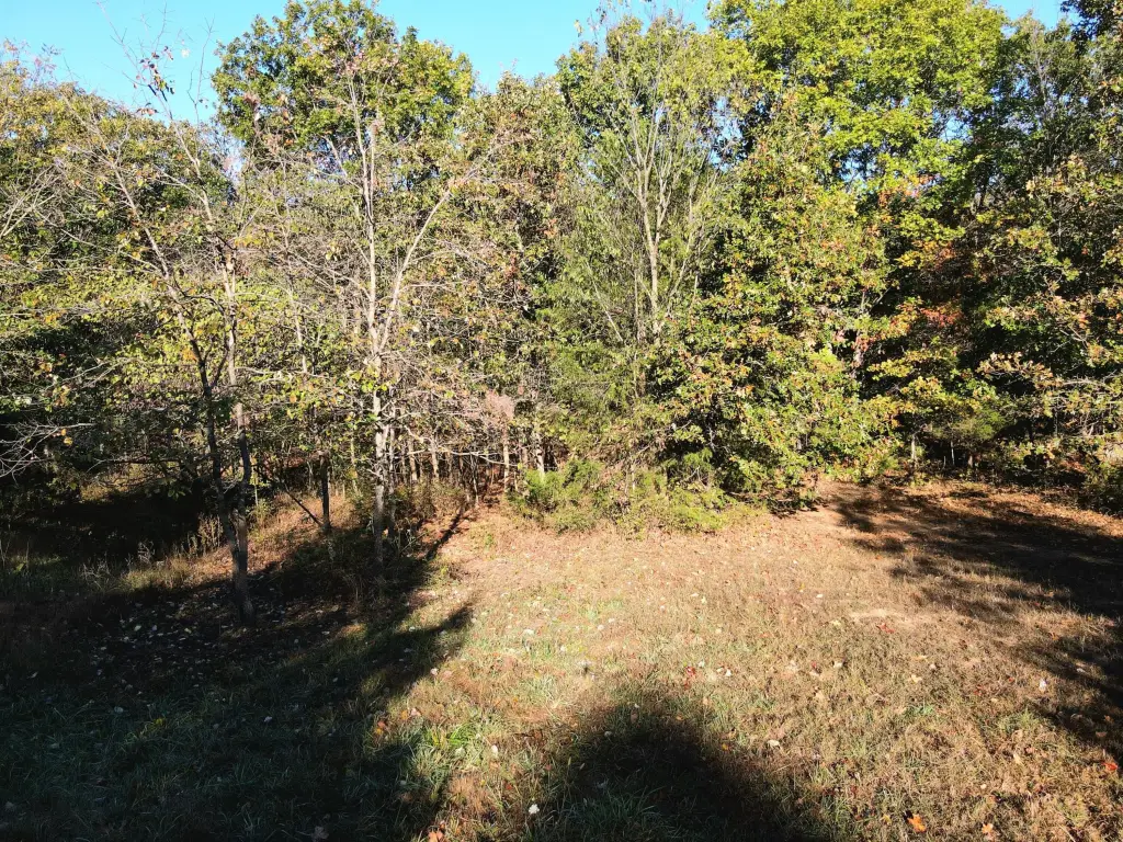 Picture 30