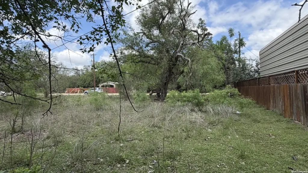Picture 8