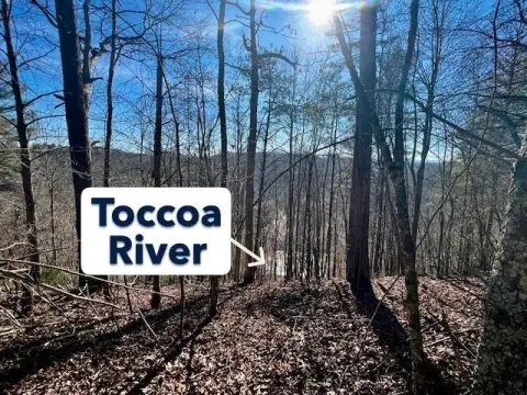 Toccoa River Access Lot