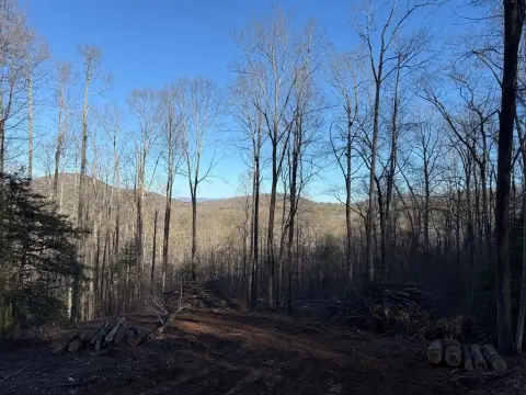 Blairsville Vacant Lot with View