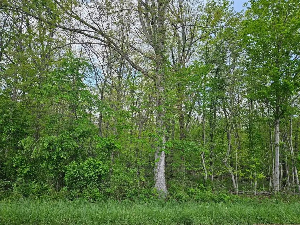 Picture 30