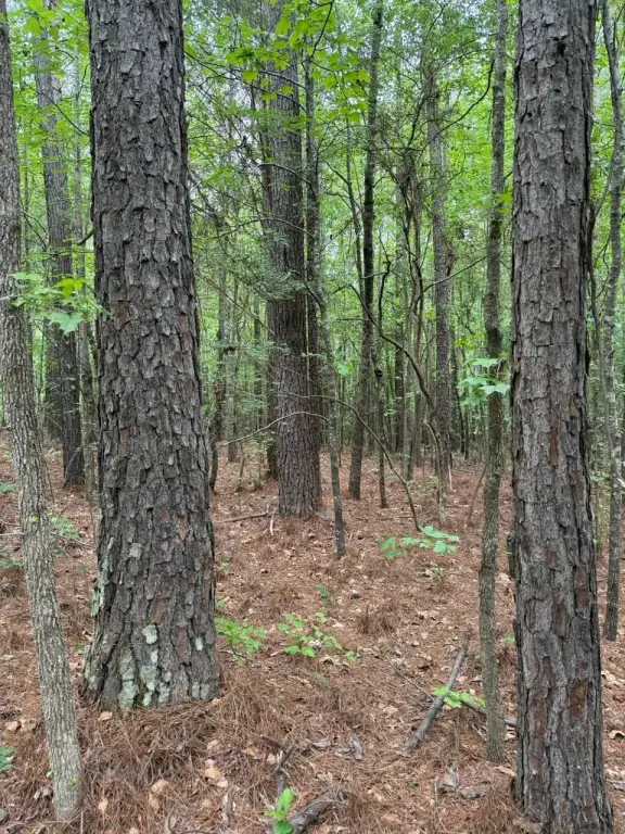 Picture 19