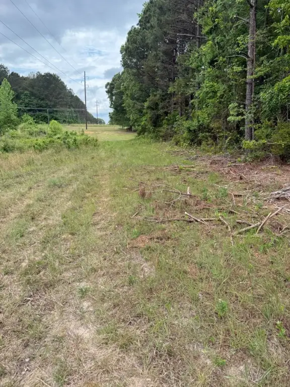 Picture 20