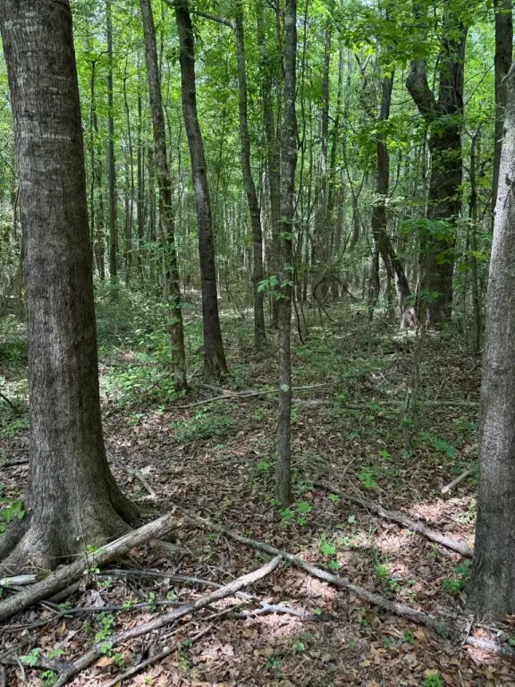 Picture 27