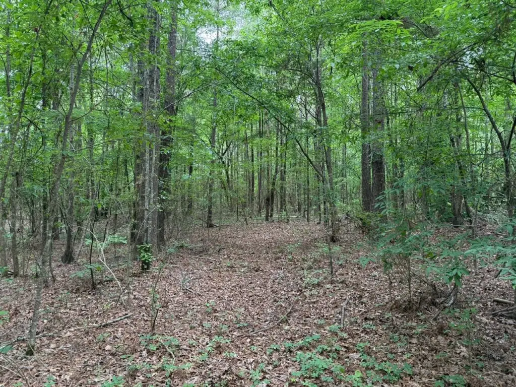 Picture 15