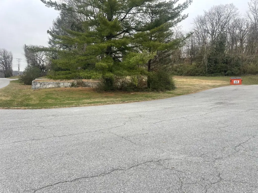 Picture 21