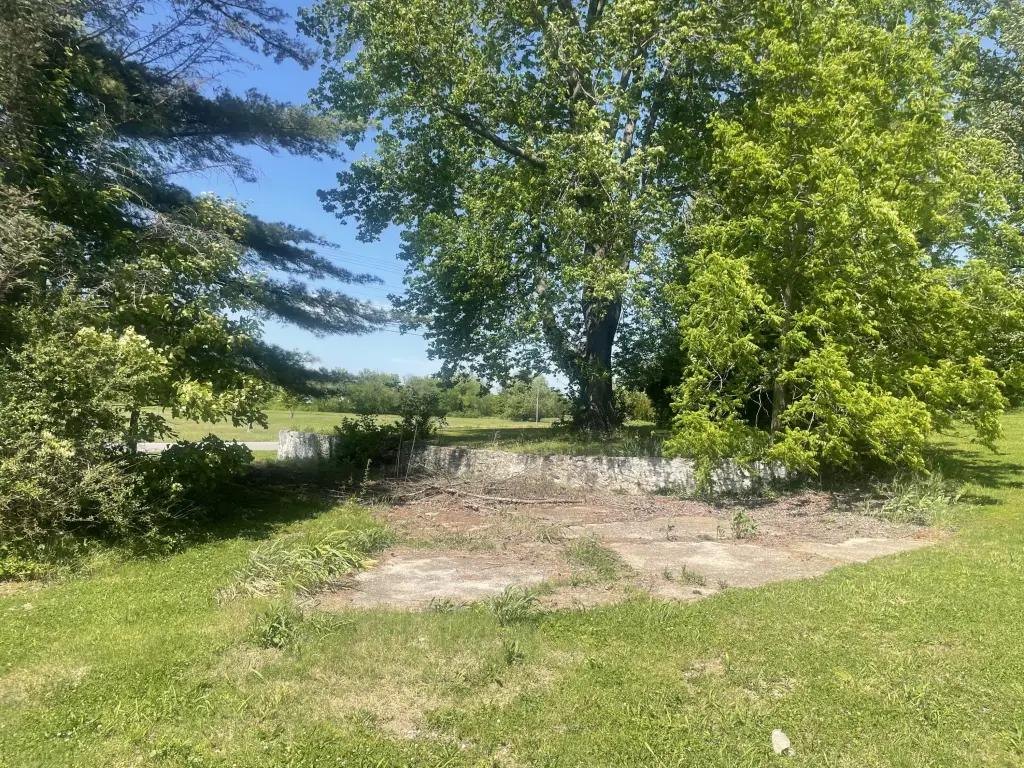 Picture 24