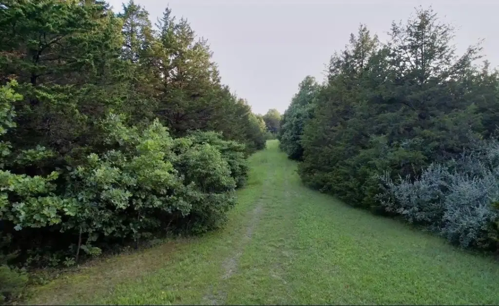 Picture 8
