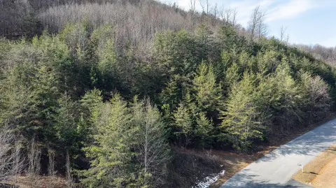 Residential Land in Botetourt County
