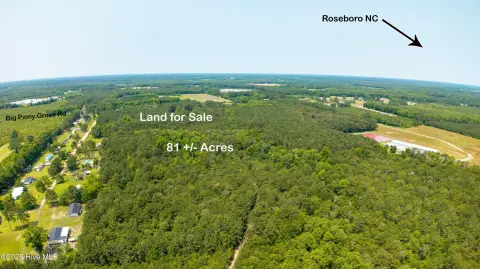 81 Acres Wooded Tract