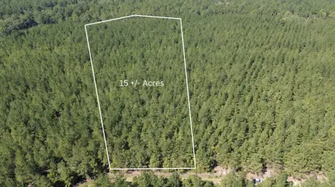 Secluded 15-Acre Lowcountry Parcel