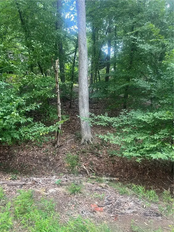 Picture 11