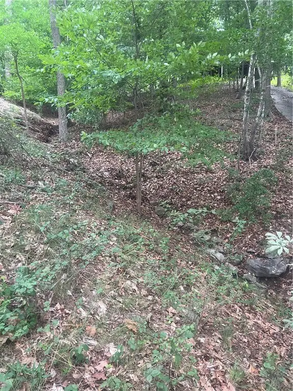 Picture 24
