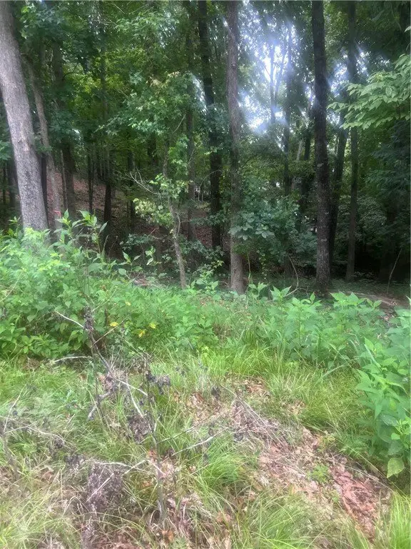 Picture 21