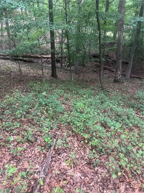 Picture 27