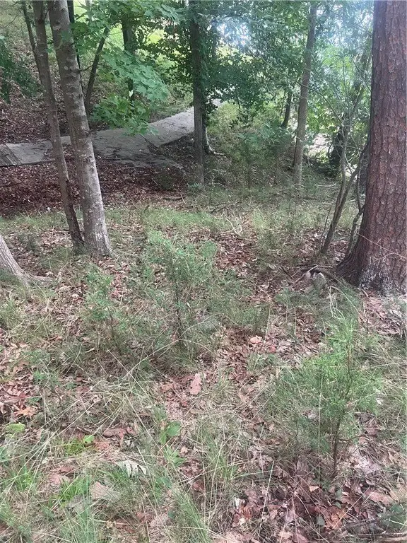 Picture 15