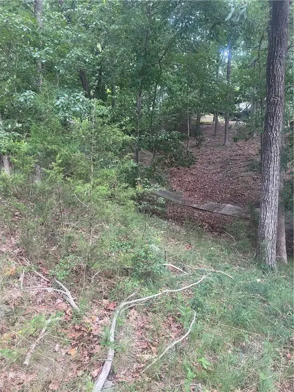 Picture 14