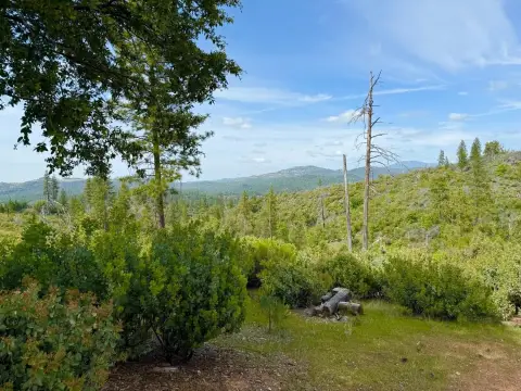 6.4 Acres in Sheep Ranch