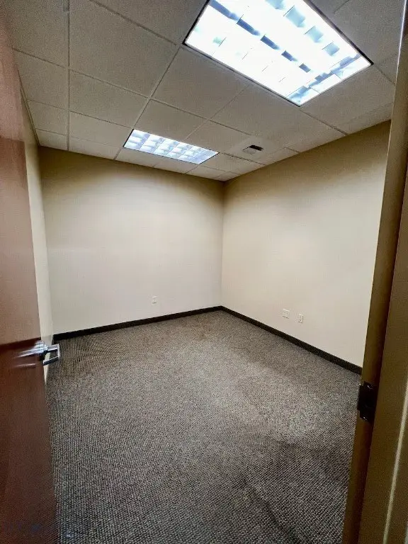 Picture 28