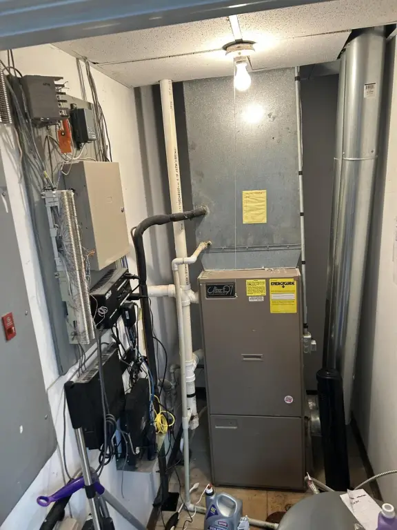 Picture 16