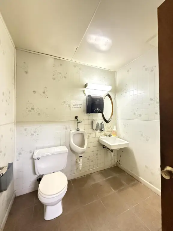 Picture 12