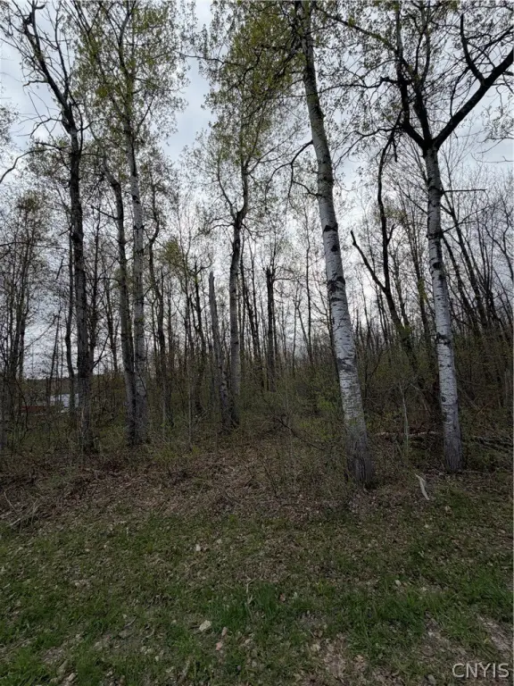 Picture 5
