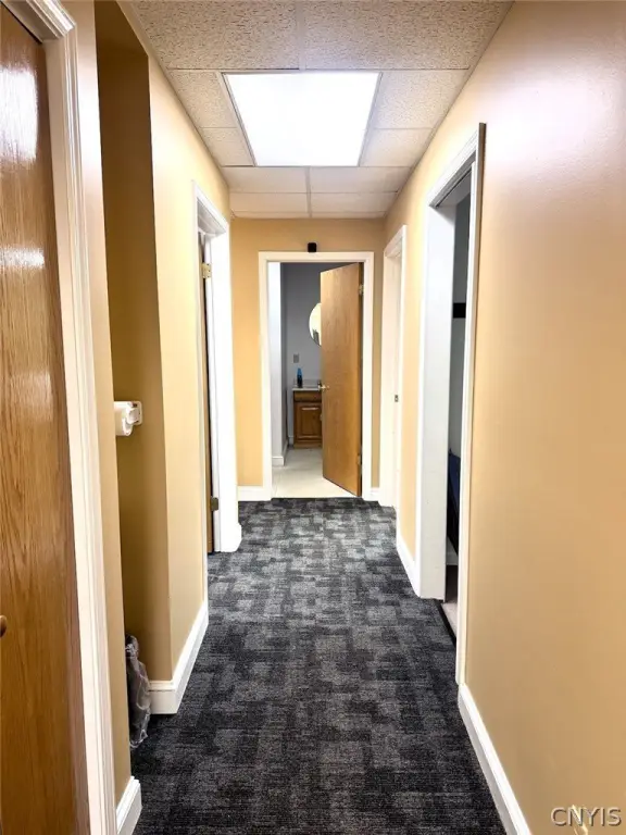 Picture 26