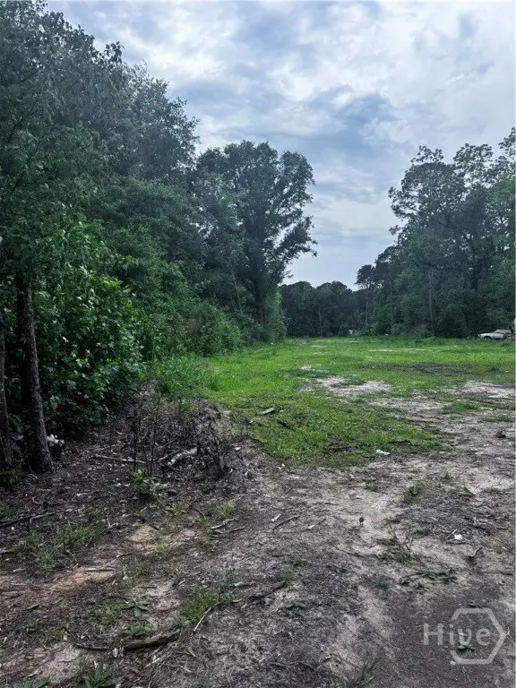 Picture 3