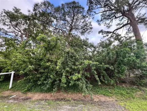 Waterfront Lot in Coquina Beach