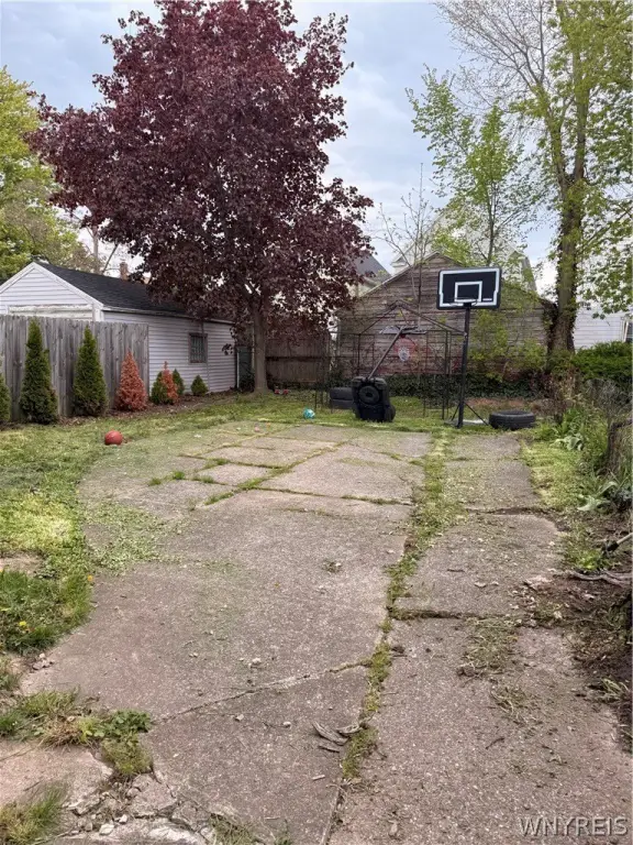 Picture 5